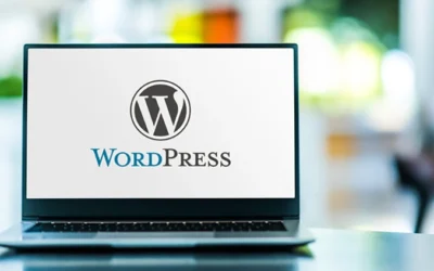 WordPress Website Maintenance Steps